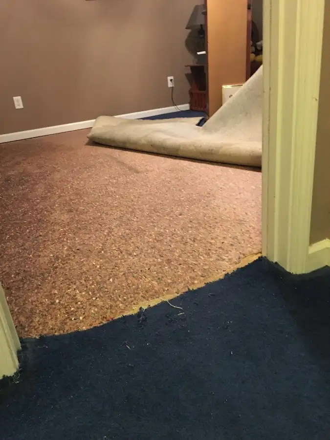 Carpet pad removal revealing water damage during Water Mitigation Services in Napoleon
